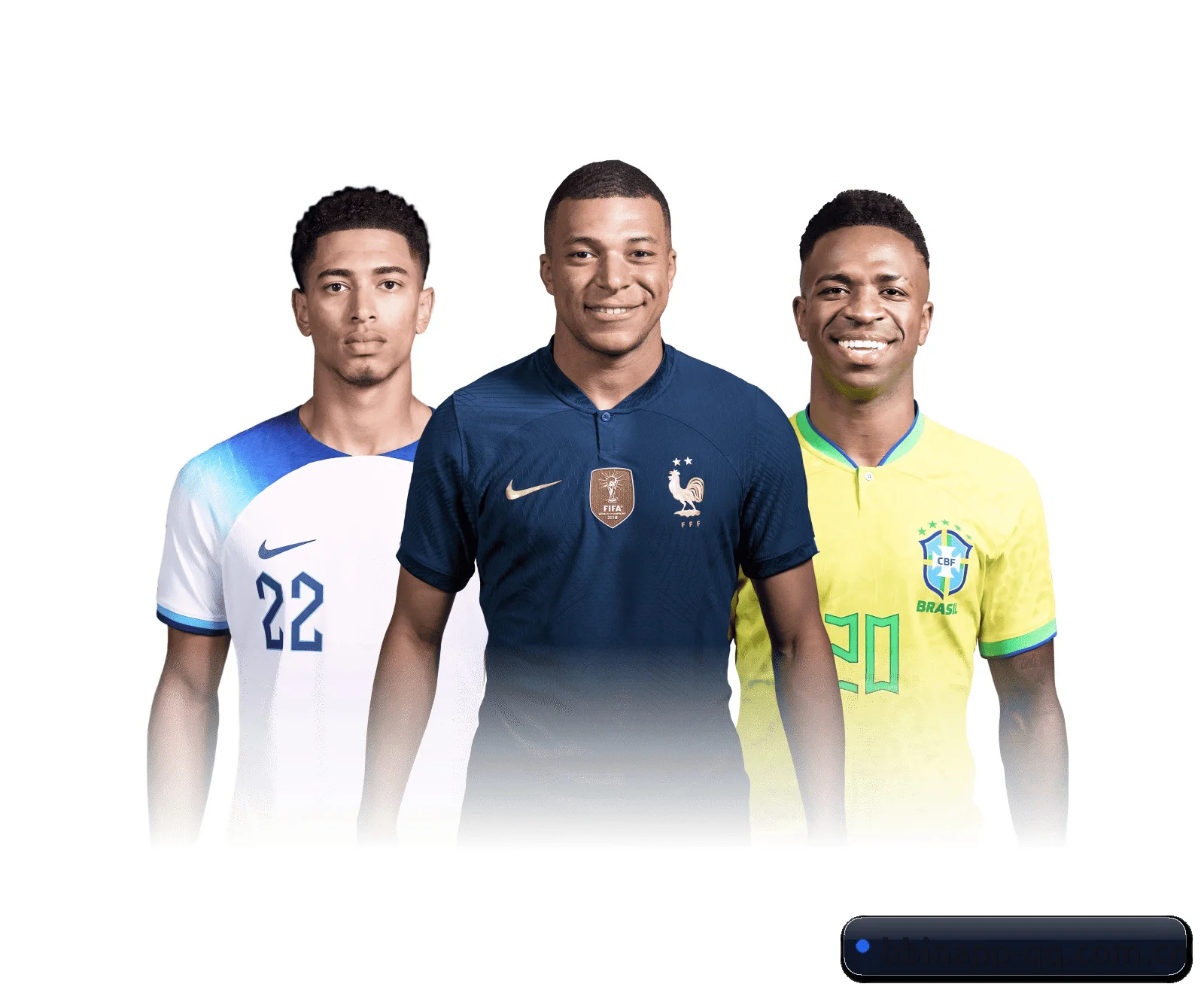 五维频道网格化布局 · 环球体坛电讯按项归仓